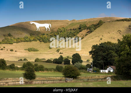 Royaume-uni, Angleterre, la plaine de Salisbury, Wiltshire, Westbury White Horse sur hillside & fort de l'âge du fer Banque D'Images