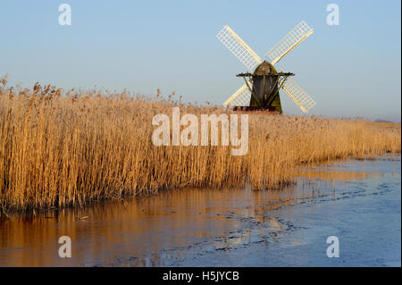 Herringfleet Moulin dans le brouillard verglaçant Banque D'Images