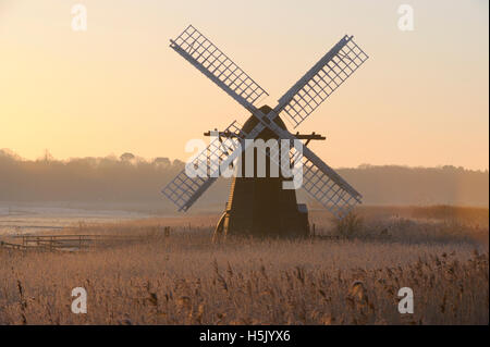 Herringfleet Moulin dans le brouillard verglaçant Banque D'Images