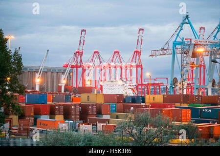 Grues à quai et port de conteneurs chinois : les exportations et importations britanniques sont déchargées et chargées à Seaforth Docks, Liverpool2, Merseyside, Royaume-Uni Banque D'Images