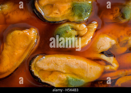 Ouvrir les moules tin closeup Banque D'Images