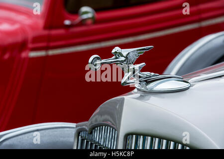 Déesse de l'ornement de capot de vitesse sur une Packard 1936 8 Standard. Classic vintage American car Banque D'Images