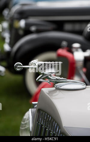 Déesse de l'ornement de capot de vitesse sur une Packard 1936 8 Standard. Classic vintage American car Banque D'Images