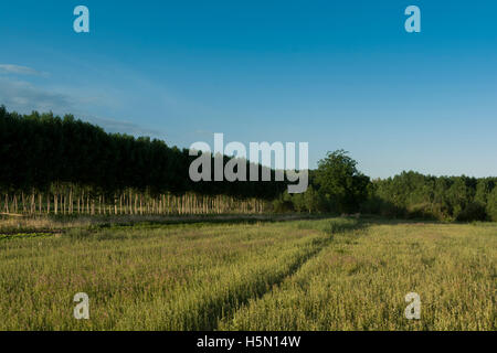 Monreal del Campo. Région de la Jiloca. Teruel. Espagne Banque D'Images