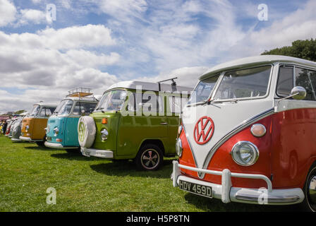 Une ligne de VW camping-cars au salon de Paignton Green avec un ciel nuageux ciel bleu en arrière-plan Banque D'Images