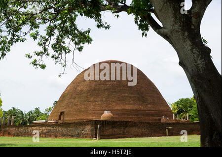 Sandagiri stupa, Tissamaharama, au Sri Lanka Banque D'Images