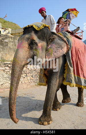 Décorées avec leurs éléphants rider exerçant son passager à Fort Amer à Jaipur, Rajasthan, Inde Banque D'Images