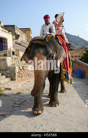 Décorées avec leurs éléphants rider exerçant son passager à Fort Amer à Jaipur, Rajasthan, Inde Banque D'Images