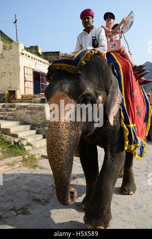 Décorées avec leurs éléphants rider exerçant son passager à Fort Amer à Jaipur, Rajasthan, Inde Banque D'Images