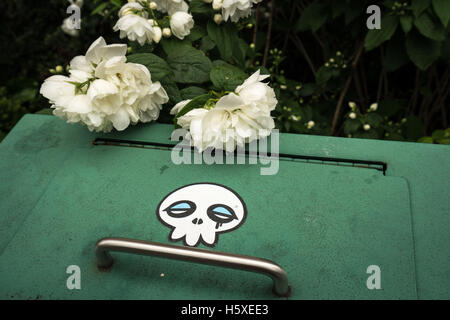 Corbeille avec autocollant crâne avec des roses blanches à Chester Banque D'Images
