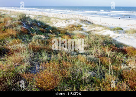 St Saint Augustine Floride, Beacher's Lodge Ocean Waterfront Suites, promenade, plages de plage, eau de l'océan Atlantique, dunes naturelles, voyages des visiteurs Banque D'Images