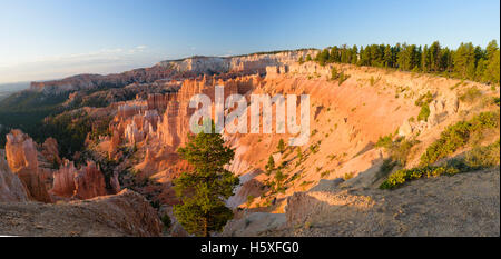 Lever du soleil et une vue panoramique sur l'Amphithéâtre, le Parc National de Bryce Canyon, Utah, situé dans le sud-ouest des États-Unis. Banque D'Images