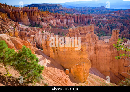 Lever du soleil et une vue panoramique sur l'Amphithéâtre, le Parc National de Bryce Canyon, Utah, situé dans le sud-ouest des États-Unis. Banque D'Images