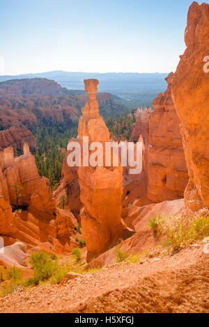 Thors Hammer, Bryce Canyon National Park, situé à l'Utah, dans le sud-ouest des États-Unis. Banque D'Images