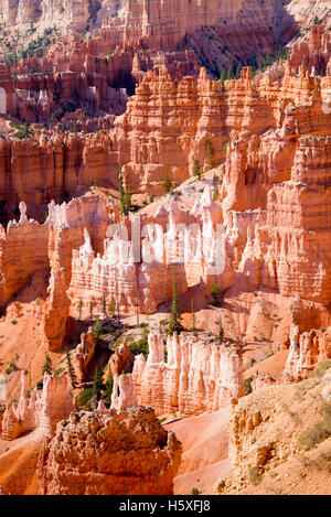 La vue magnifique, le Parc National de Bryce Canyon, Utah, situé dans le sud-ouest des États-Unis. Banque D'Images