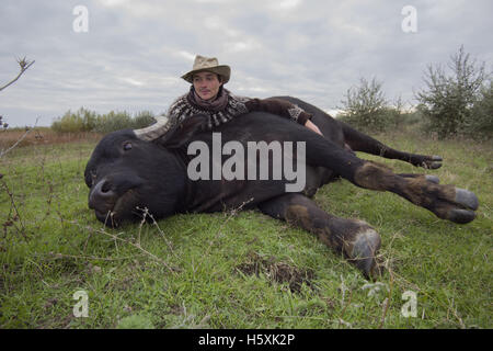 Farmer allongé sur l'herbe à côté de l'eau des Carpates buffalo - Cette sous-espèce sauvage européenne ou le buffle Buffle Banque D'Images