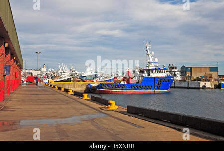 Une vue sur le port et quai de Fraserburgh, Aberdeenshire, Ecosse, Royaume-Uni. Banque D'Images