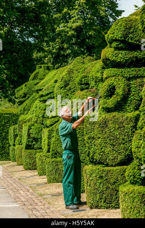 Chef Jardinier Chris Riley mic La reine des bêtes, une touche d'affichage de buissons à Hall Place dans Bexley Banque D'Images