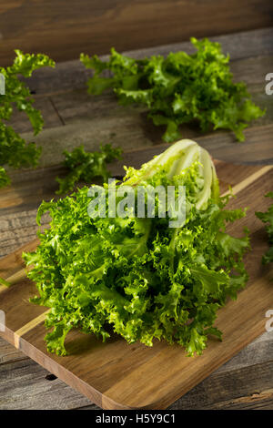 Endives Bio vert cru prêt à manger Banque D'Images