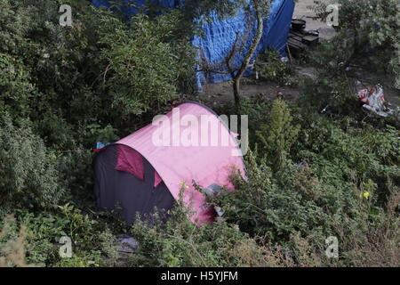 Calais, France. 22 octobre, 2016. Une tente a été dressé par les réfugiés au milieu de buissons dans la jungle. La vie quotidienne dans la jungle se poursuit avec quelques jours d'aller à l'expulsion du camp par l'État français. Cependant de plus en plus de gens quittent le camp et le nombre de tentes vides et des huttes augmente. Crédit : Michael Debets/Alamy Live News Banque D'Images