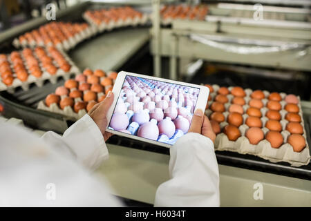 Mid section du personnel féminin l'adherence photo de boîtes à oeufs sur le tableau numérique Banque D'Images