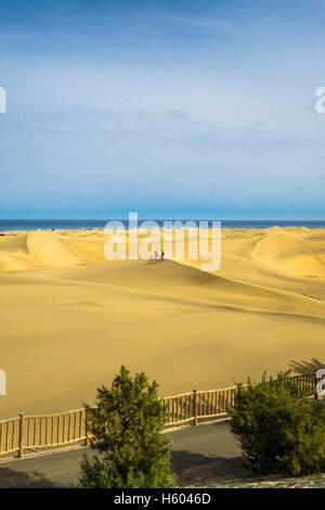 Dunes de sable de Maspalomas, Gran Canaria, Îles Canaries, Espagne Banque D'Images