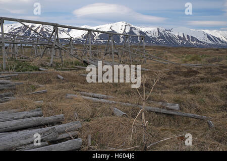 Les vieux poissons des séchoirs, île de Hrisey, avec des montagnes enneigées au-delà, l'Eyjafjordur, au nord de l'Islande, Akuretri. Banque D'Images