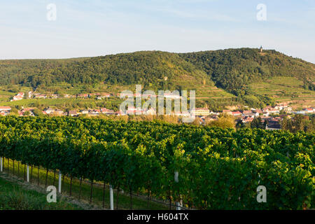 Langenlois : la vue de la vallée de de Kogelberg Kamptal, vignobles, tour d'observation, Zöbing Kamptalwarte village, Waldviertel, Niede Banque D'Images