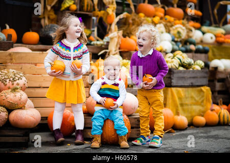 Groupe d'enfants bénéficiant d'harvest festival Célébration à Pumpkin Patch. Kids picking et découper les citrouilles à ferme du pays Banque D'Images