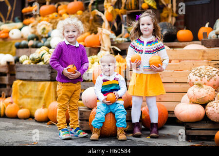 Groupe d'enfants bénéficiant d'harvest festival Célébration à Pumpkin Patch. Kids picking et découper les citrouilles à ferme du pays Banque D'Images