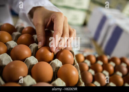 Mid section du personnel féminin d'examiner Banque D'Images