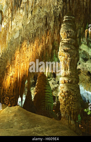 Stalactites et colonne, grande salle, Carlsbad Caverns National Park, Nouveau Mexique USA Banque D'Images