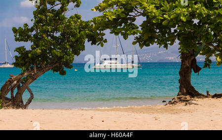 La voile et voiliers ancrés dans les eaux turquoises des Caraïbes, la Martinique, French West Indies. Banque D'Images