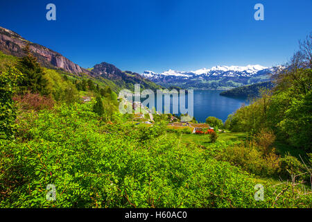 Panorama vue village Vitznau, lac de Lucerne (Floralpina) et Alpes Suisses près de Luzern, Suisse ville Banque D'Images