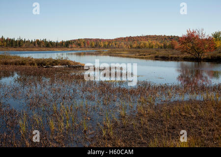 La vue sur la rivière près de la nature dans le centre de New York Adirondacks à Tupper Lake. Banque D'Images