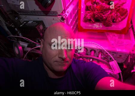 La Station spatiale internationale de la NASA de la mission de l'équipage Expédition 44 premier astronaute Scott Kelly prend une photo sous une croissance tirée par les selfies avec feux de la seconde récolte de laitue romaine rouge cultivé à l'ISS pour la croissance des plantes de légumes 9 août 2015 alors que dans l'orbite de la Terre. Banque D'Images