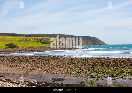 Stokes Bay sur la côte nord de l'île Kangourou, Australie du Sud Banque D'Images