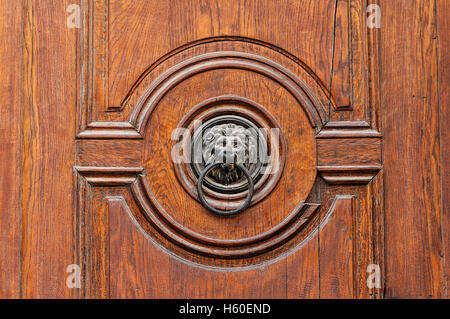 Tête de lion poussiéreux heurtoir. Décoration de porte en bois Banque D'Images