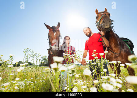 Heureux couple en train de marcher avec les chevaux dans le champ d'été Banque D'Images