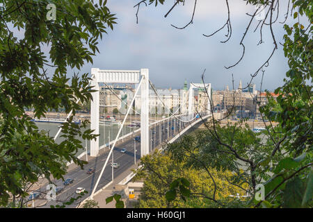 Pont Elisabeth à Budapest, Hongrie. Beaux ponts de Budapest. Meilleur Pont de Budapest. Pont sur le Danube. Banque D'Images