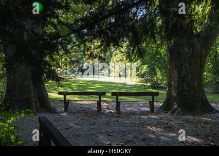 View Park. Les feuilles vertes des arbres. rayons de soleil font leur chemin à travers elle. Bon pour une carte, un calendrier ou de veille. Banque D'Images