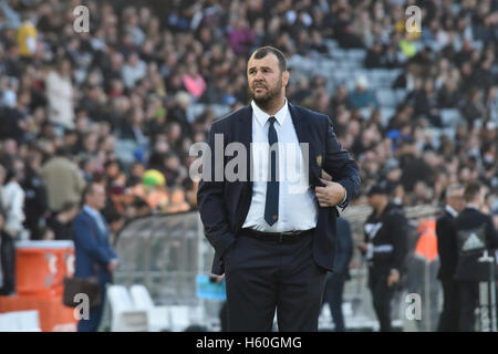 Auckland, Nouvelle-Zélande. 22 octobre, 2016. L'Australie Wallabies entraîneur Michael Cheika Tooheys New Cup au cours de la troisième test match contre les All Blacks de Nouvelle-Zélande. Tous les Noirs à l'encontre de Wallabies 37-10. Credit : Shirley Kwok/Pacific Press/Alamy Live News Banque D'Images