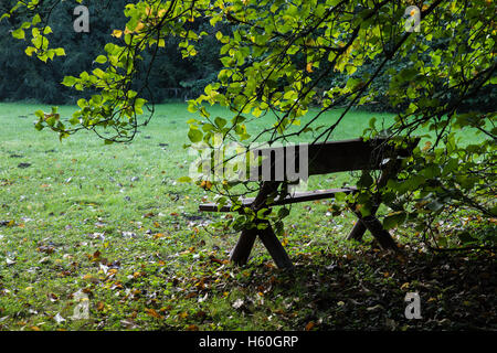 View Park. Les feuilles vertes des arbres. rayons de soleil font leur chemin à travers elle. Bon pour une carte, un calendrier ou de veille. Banque D'Images