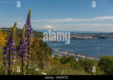 Majestueux Mont Rainier domine le port de Tacoma. Banque D'Images