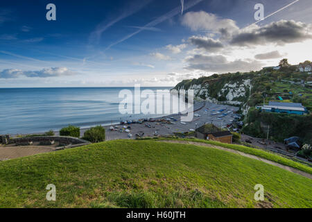 Vue panoramique sur le village de pêcheurs traditionnel de la bière dans le Devon, UK Banque D'Images