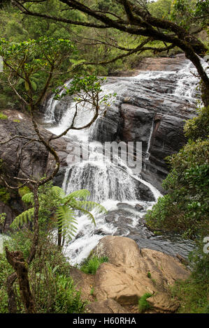 Baker's Falls, parc national de Horton Plains, Sri Lanka Banque D'Images