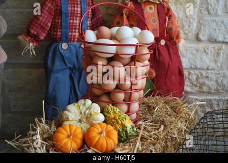 Poulet Frais de la ferme et les Œufs de canard avec un décor d'automne Banque D'Images