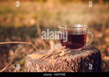 Tasse de thé avec les feuilles d'automne Banque D'Images