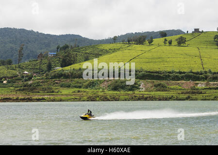 Bateau de vitesse sur le lac Gregory, Nuwara Eliya, Sri Lanka Banque D'Images