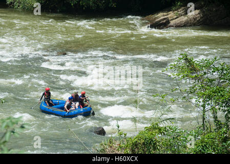 Le rafting sur la rivière Kelani, Kitugala, Sri Lanka Banque D'Images